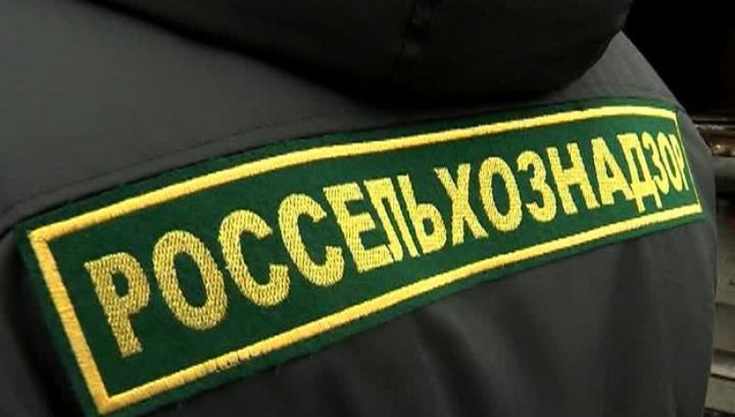 Россельхознадзор вернул в Казахстан 16 тонн контрафактного товара
