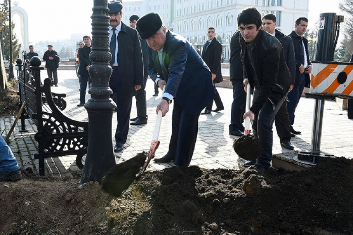 Младший сын президента Таджикистана назначен замдиректора крупного предприятия