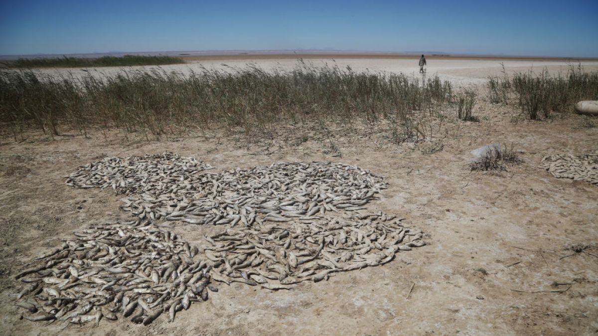 Спутниковые снимки показывают, как исчезают озёра Ирана: водный кризис усугубляется войной