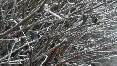 Морозы до -18 - Казахстан накроет резкое похолодание