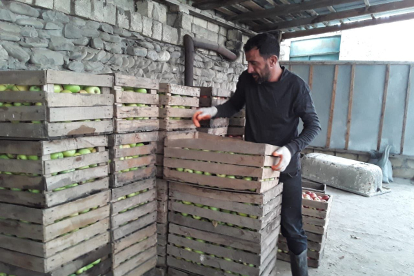 В кризисе и губинские фермеры