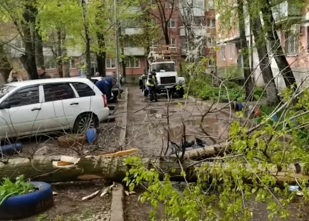 В Самарской области РФ три человека погибли при падении деревьев