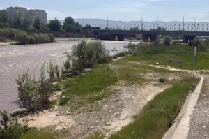 «Хотел спасти человека». Как школьник в Душанбе предотвратил самоубийство девушки