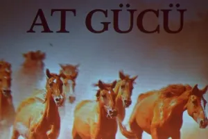 В Баку прошла презентация документального фильма "Лошадиная сила"