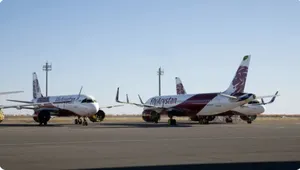 В Казахстане самолёт сбил собаку после посадки