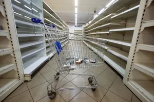 Насколько могут вырасти мировые цены на продовольствие – ФАО