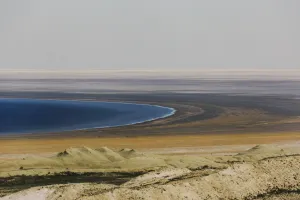 Пастбищные угодья появятся на осушенном дне Аральского моря
