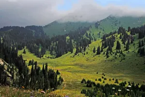 Горнолыжный курорт хотят построить на земле нацзаповедника