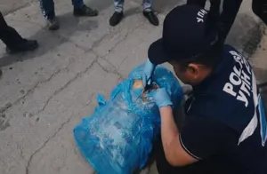 Ряд наркопреступлений пресечен в регионах Казахстана