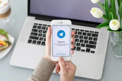 Запрет на голосовые сообщения появился в Telegram