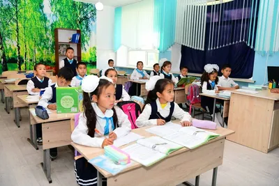 Качество знаний учащихся оценят в казахстанских школах