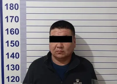 В Чуйской области экскаватор задавил 5-летнюю девочку